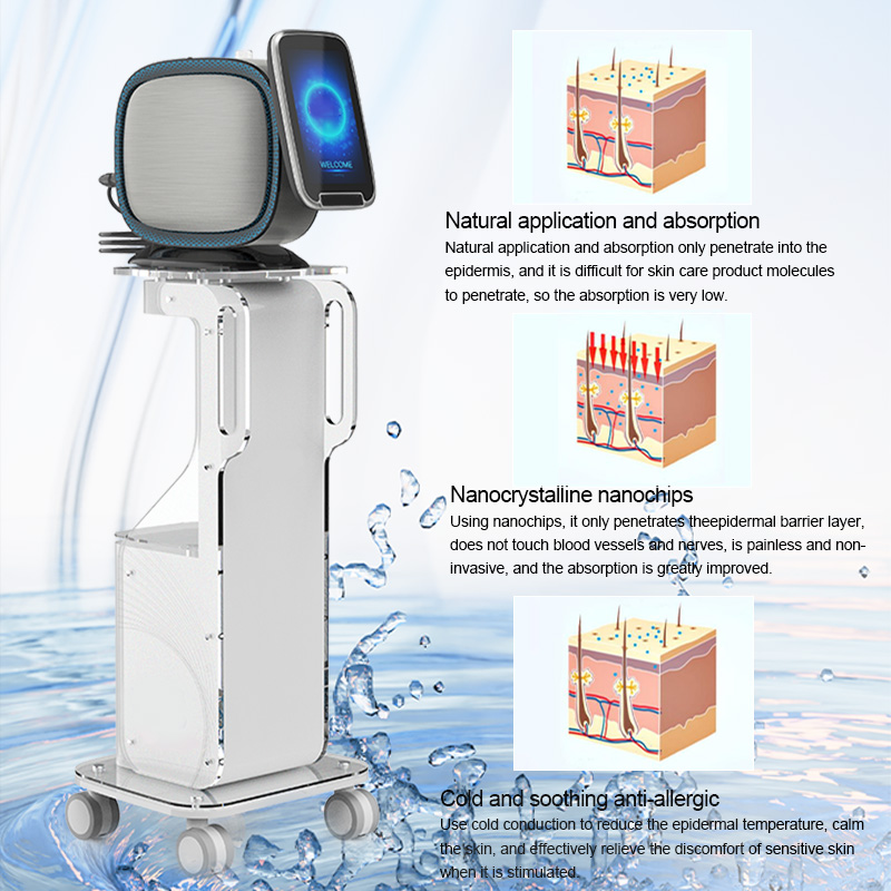 分站Professional Nano Mesotherapy Sprayer for Skin Rejuvenation